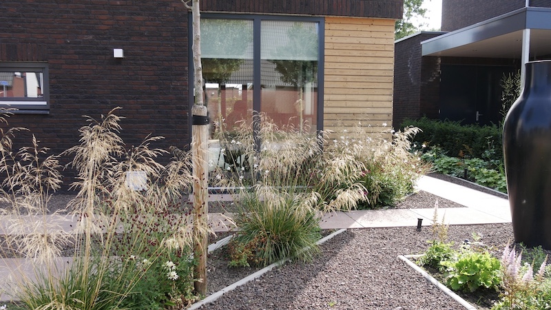 8GroeneTuinTuinNieuweTuinNieuweTuinOssTuinontwerperTuinontwerperOssTuinarchitectTuinarchitectOssTuinontwerpTuinontwerpOssTuintekeningTuintekeningOssTuinplanTuinplanOss.JPG